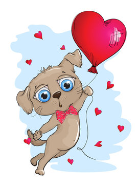 Puppy with big blue eyes on the balloon