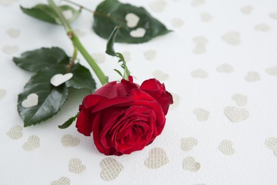 Red rose surrounded with heart shape decoration