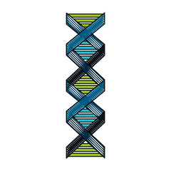 dna molecule isolated icon vector illustration design