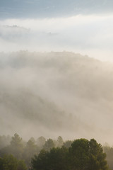 Sunrise misty landscape of forests at Coll de Serra Seca in the Catalan Pré-Pyrenees.