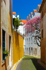 The typical Lisbon street with flowering spring tree in Alfama, Portugal
