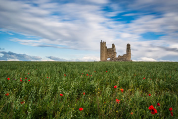 Ruinas de castillo