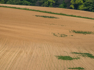 Obraz premium Ackerbau