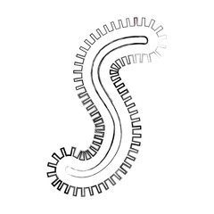 Naklejka premium Bacterial cell structure icon vector illustration design