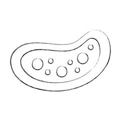 Bacterial cell structure icon vector illustration design