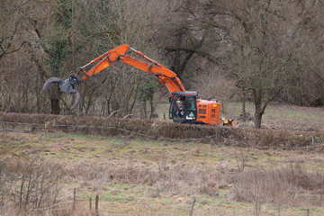 Roter Greifbagger hebt Baumstämme
