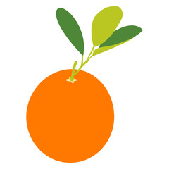 Isolated sweet granadilla on a white background, Vector illustration