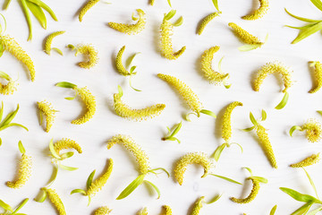 springtime season background