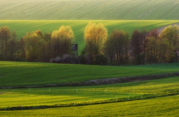 Wiosenny, wiejski krajobraz pól © uranos1980