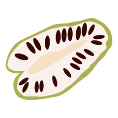 Isolated cut of a soursop, Vector illustration