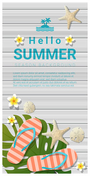 Hello summer background with sea elements on wooden board , vector , illustration