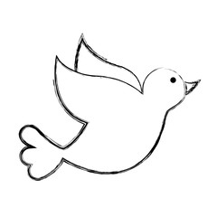 dove drawing isolated icon vector illustration design