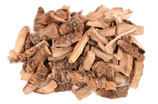 calamus root
