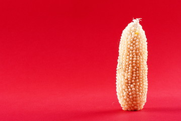 Raw corn on a red background © Valerii Dekhtiarenko