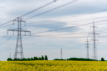 Rape field and Electric pylons