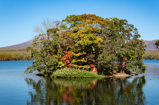 Idyllic Autumn Leaves Season in Onuma Quasi National Park, Hokkaido, Japan