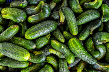 fresh green cucumber collection outdoor on market macro