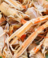 déchets de langoustines,têtes et pattes