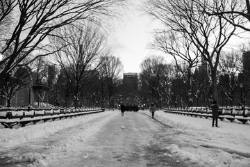 Walkway and park bench at Central Park with snow in black and white style