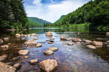 Selbstklebende Fototapeten Panoramic view of Jacques Cartier River, Jacques Cartier National Park, Quebec © Claudia Prommegger