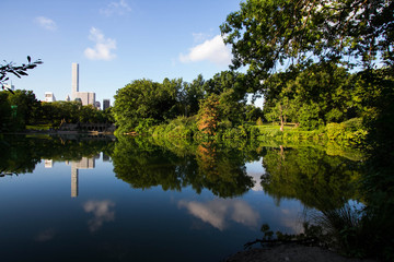 Reflection of trees and buildings in summer with blue sky