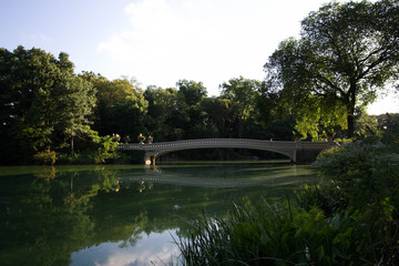 Trees around Bow bridge and reflective lake at Central Park in summer