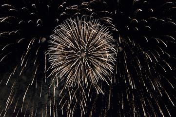 Bright and colorful Firework in front of a dark night sky