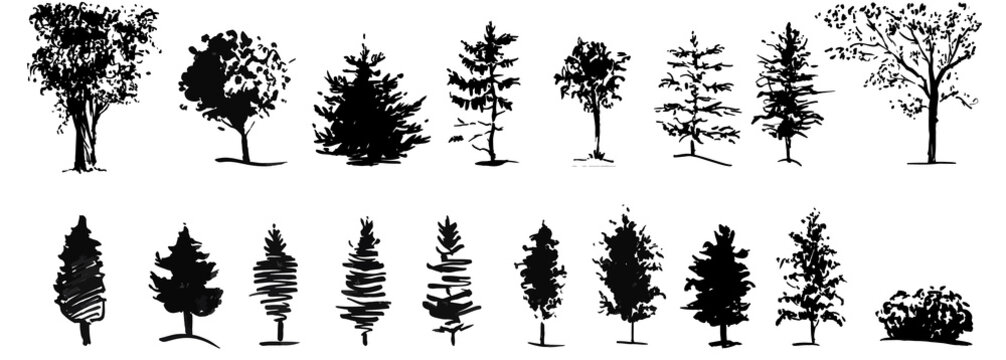 Ink illustration of growing trees with some grass. Silhouette isolated on white background.