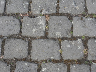 Obraz premium Pflaster