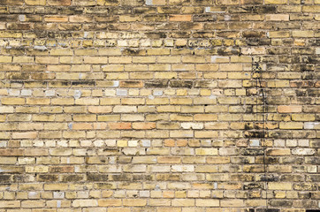 Brick wall texture