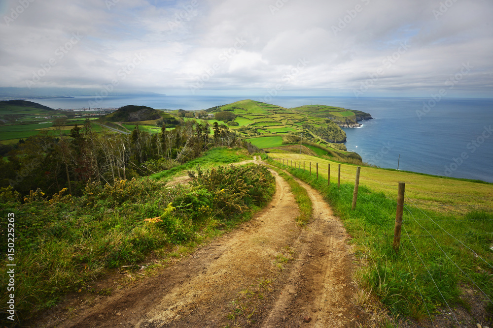 Wall mural green island. amazing view of the green cape, old road and the atlantic ocean