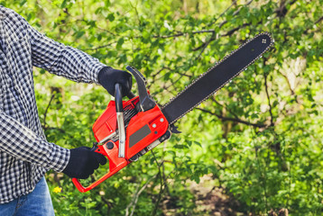 A man - Lumberjack in a black and white checkered shirt sawing a chainsaw in a forest.