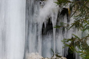 Frozen icicles