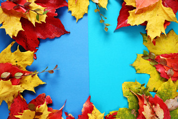 creative layout With autumn leaves. Round autumn wreath of bright autumn leaves On a blue combined background