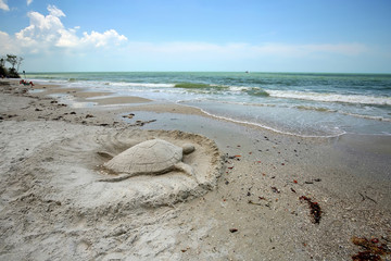 Obraz premium Sand sculpture turtle on Fort Myers Beach, Florida