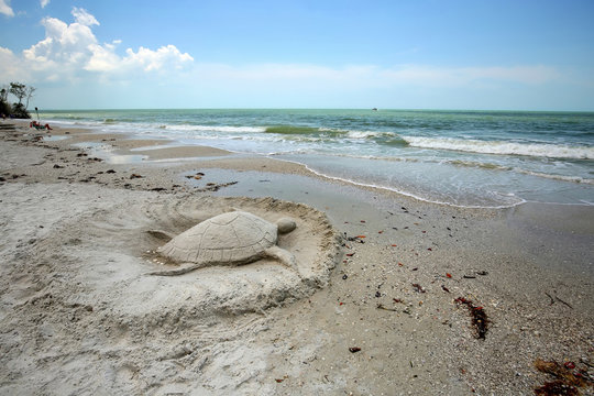 Sand sculpture turtle on Fort Myers Beach, Florida