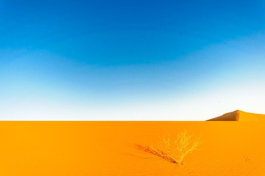 View of dunes in the dessert of Morocco by M'hamid