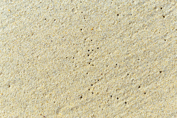 Texture with shell and pebble at wet yellow sand of beach. Vacation background.