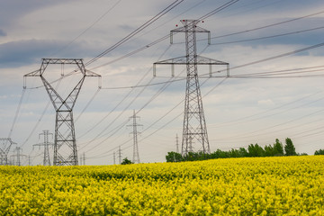 Electric pylons in rape field