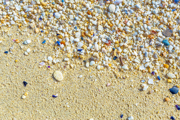 Texture with shell and pebble at wet yellow sand of beach. Vacation background.