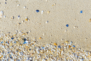 Texture with shell and pebble at wet yellow sand of beach. Vacation background.