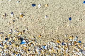Texture with shell and pebble at wet yellow sand of beach. Vacation background.