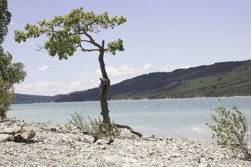 Fototapeta na wymiar Lac de Sainte-Croix Frankreich