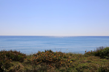 Fototapeta na wymiar Beautiful sparkling Atlantic Ocean on a calm day.