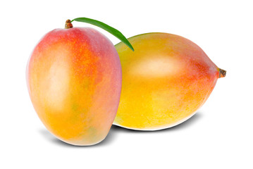 Mango isolated on white