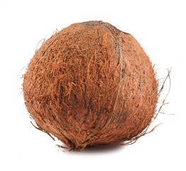 Coconut round fruit