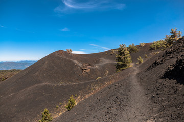 Monti Sartorius -   the eruptive cones of 1865 in the volcano etna