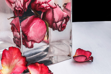 Red roses in water on black background