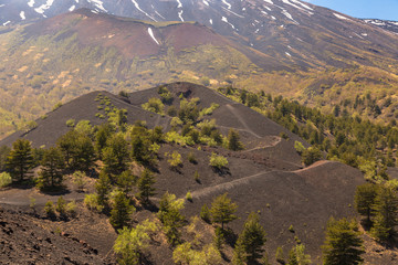 Monti Sartorius -   the eruptive cones of 1865 in the volcano etna