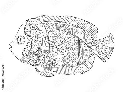 "Angel fish coloring book vector illustration" Stock image and royalty